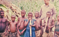 pygmy